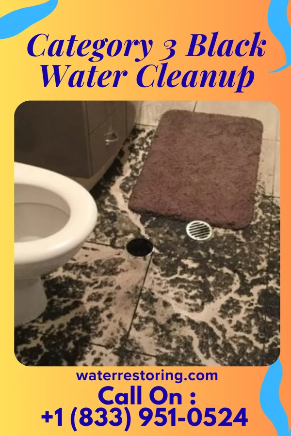 Category 3 Black Water Cleanup in Crouch Mesa, NM