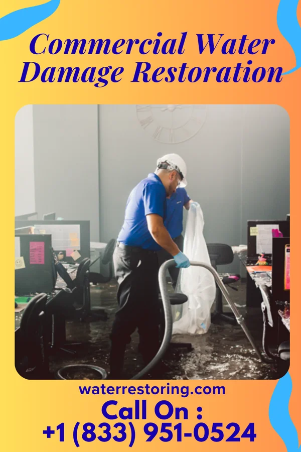 Commercial Water Damage Restoration in Crouch Mesa, NM